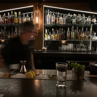 a bartender behind the bar