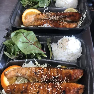 Salmon