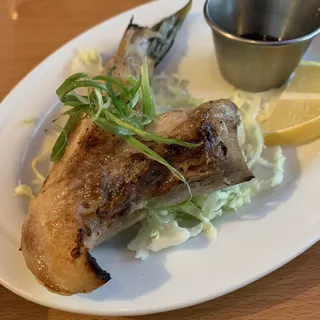Yellowtail