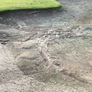 This was one of the best traps!