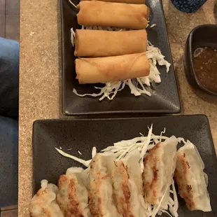 Spring rolls and gyoza