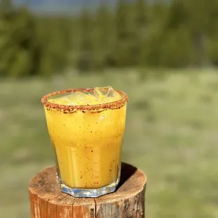 a margarita on a log