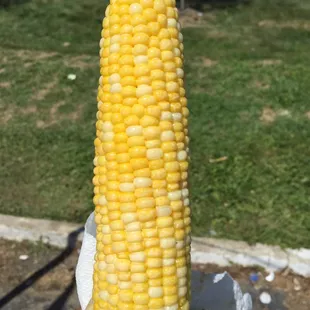 Not so great corn