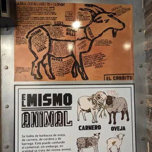 Tenoch Mexican 5/2023
