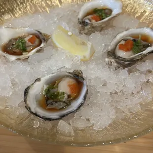 Raw Oysters