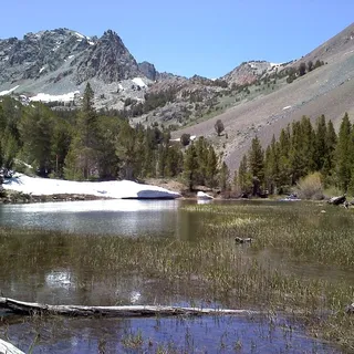 Glen M.
