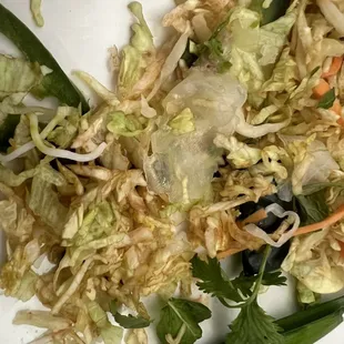 Spring Rolls