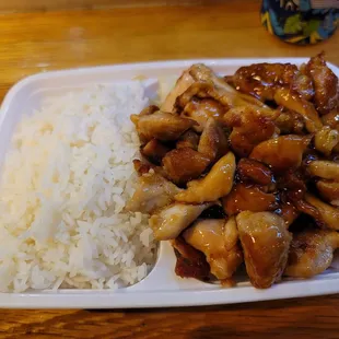 Closeup on the Chicken Teriyaki