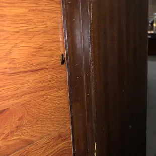 Teppanyaki &amp; Sushi Buffet Nasty roach crawling on the wall but according to the manager or owner it is just a cricket!