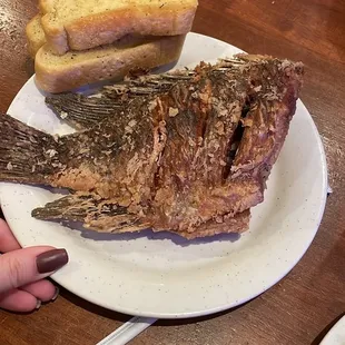 grilled fish and bread
