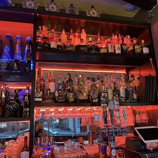 liquor bottles on shelves