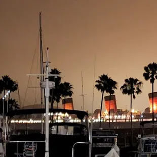 a marina with boats and palm trees