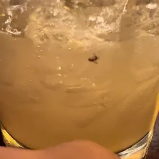 Can't believe I took a sip of this. You can clearly see the wings on this one.