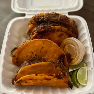 Quesa Birria Tacos