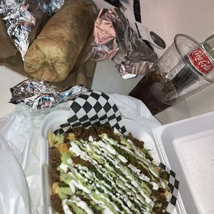 Carne Asada fries