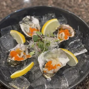 delicious oysters