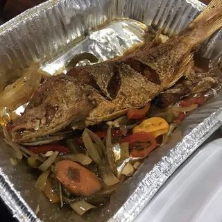 Red Snapper