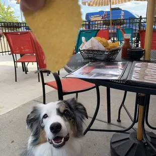 Chips and salsa time!!