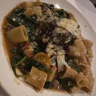 Braised Short Rib Rigatoni