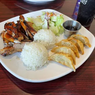 Chicken &amp; Gyoza Teriyaki