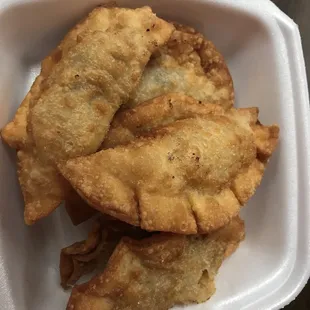 Deep Fried Dumplings