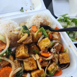 Tofu Teriyaki