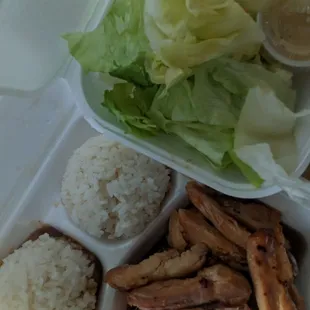 Chicken Teriyaki with salad