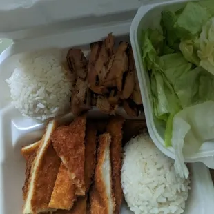 Chicken Kastu and Teriyaki Chicken Combo with Salad