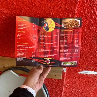 a hand holding a menu