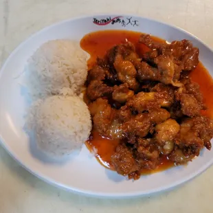 a plate of food with rice and meat