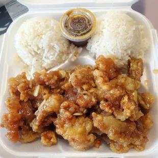 Honey Garlic Chicken