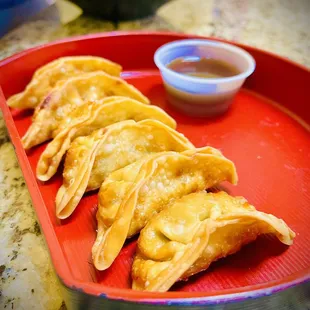 Gyoza