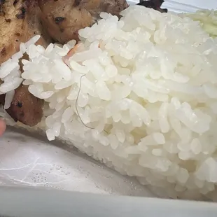 Hair in Food