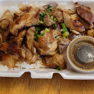 Chicken Teriyaki over White Rice &amp; Green Onions