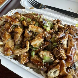 Large teriyaki bowl ..