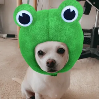 Tiffany S.