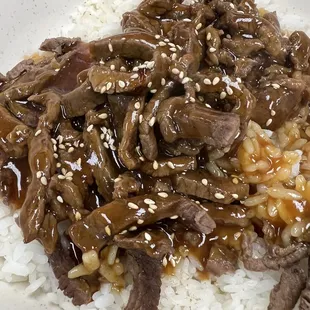 beef and rice on a plate