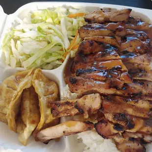 Spicy Chicken Special (comes with gyoza, salad, and good serving of rice)!