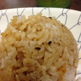 Rice sprinkled with little flies. Something you don&apos;t see everyday.