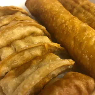 Gyoza and Egg Rolls