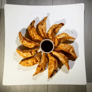 10 pc Gyoza