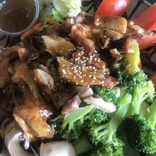Chicken Teriyaki Salad