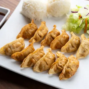 Gyoza Plate