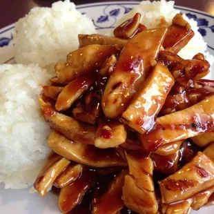 Spicy Chicken Breast Teriyaki