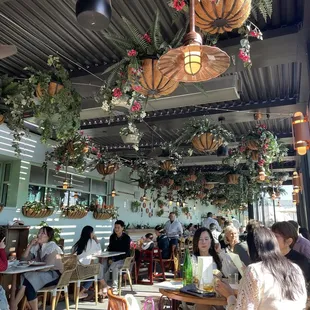 Beautiful ambiance