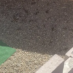 Dog poo outside of my neighbors house which is connected to mine