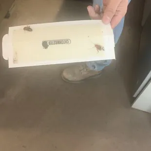 This is a photo of their own maintenance team confirming the roaches are living in the kitchen and it's unlivable