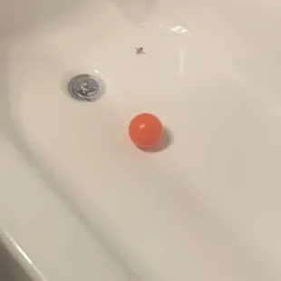 Roach in the bathtub upstairs