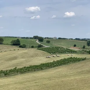 a view of the countryside