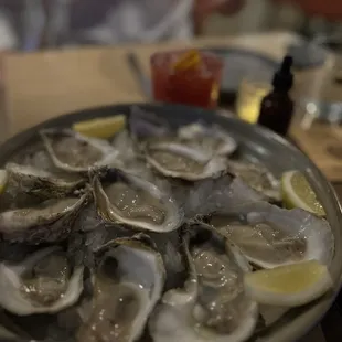 Oysters